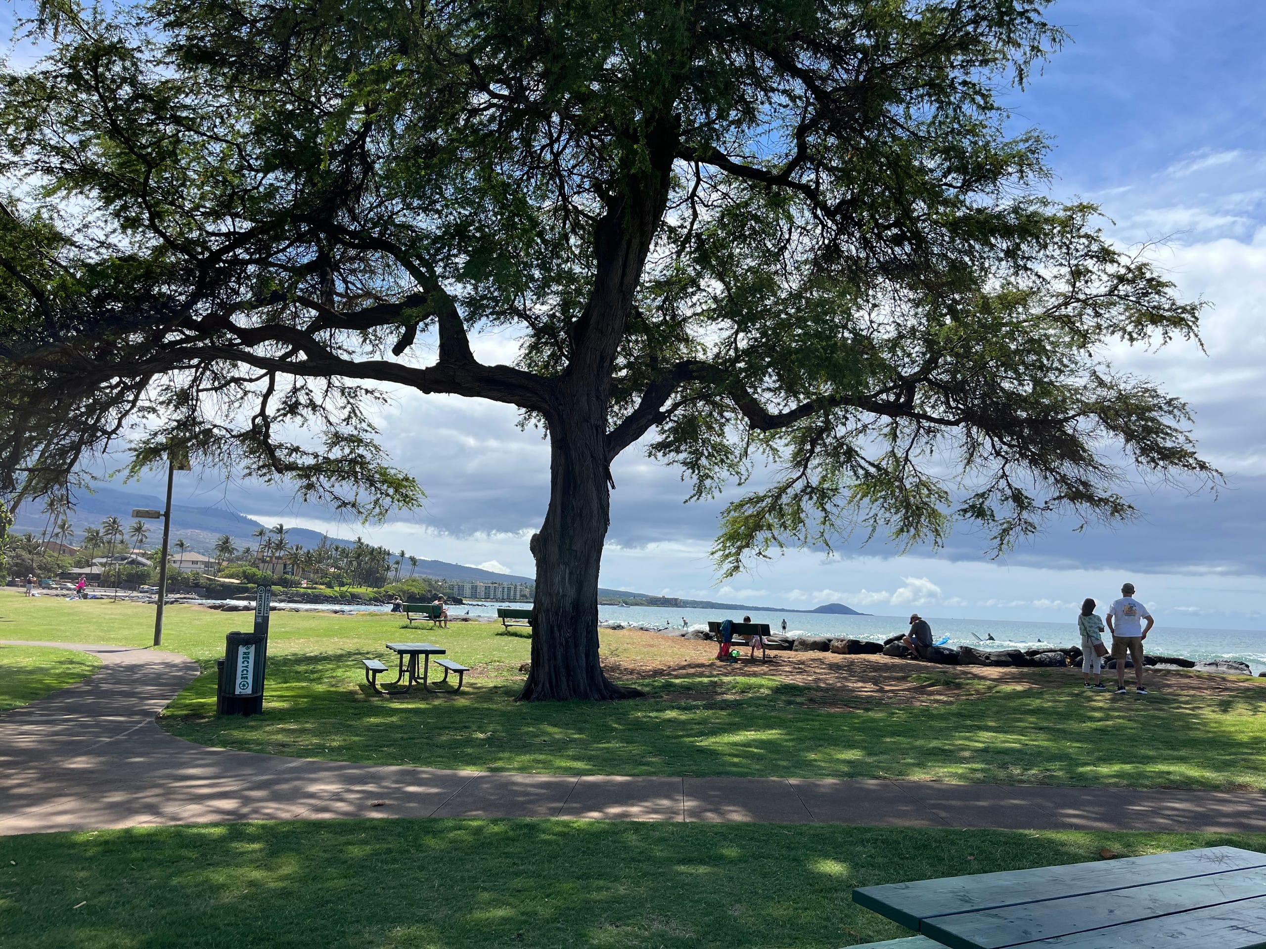 Condo in Kihei · ★4.63 · 1 bedroom · 1 bed · 1 bath - Image 41