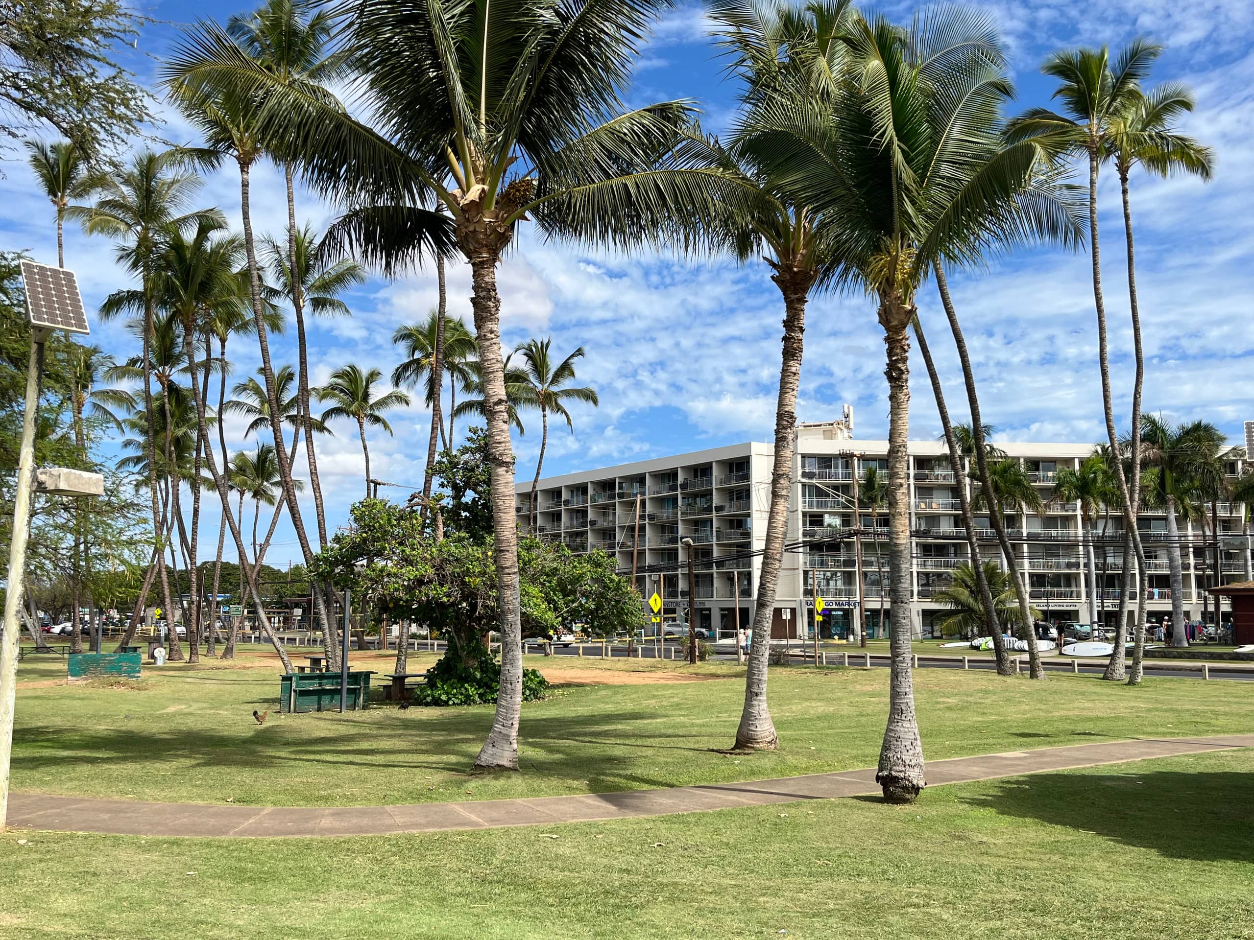 Condo in Kihei · ★4.63 · 1 bedroom · 1 bed · 1 bath - Image 46