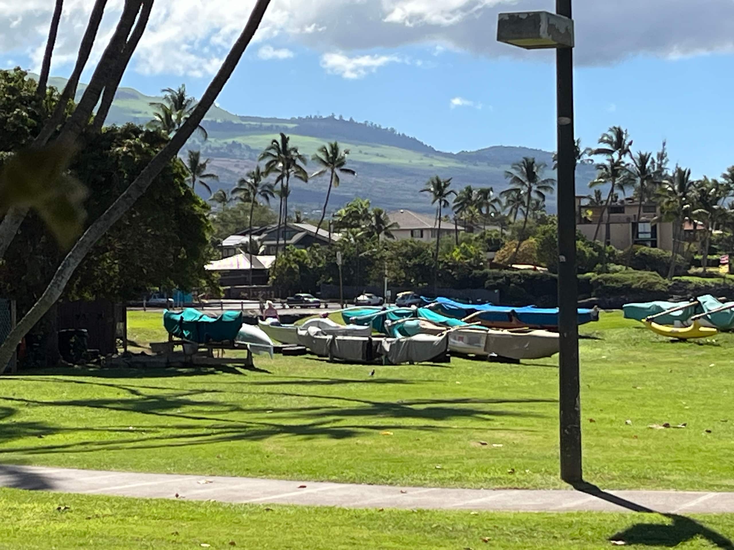 Condo in Kihei · ★4.63 · 1 bedroom · 1 bed · 1 bath - Image 43