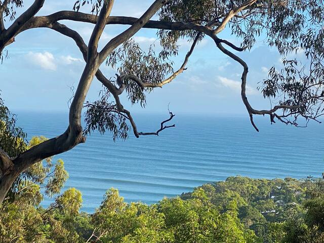 Little Cove Tree House gallery image 5