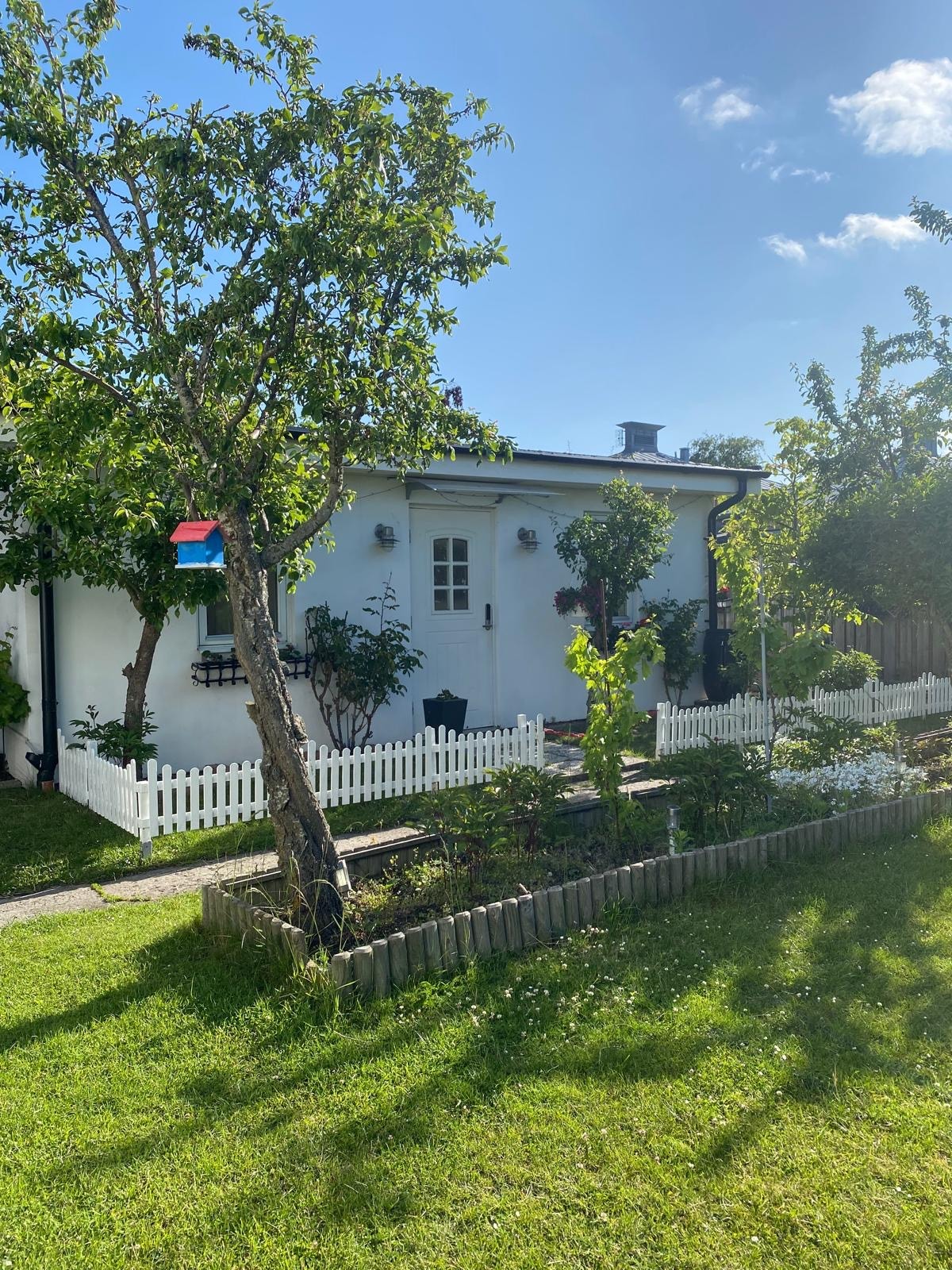 A charming garden cottage is surrounded by lush greenery and trees. A white picket fence encloses the space, leading to a welcoming entrance. The sun casts gentle shadows on the lawn, enhancing the natural beauty of the setting.