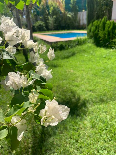 Villa Fatima Fès  
”rare gem”