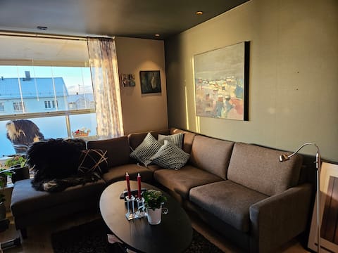 Apartment, in the middle of the city center!