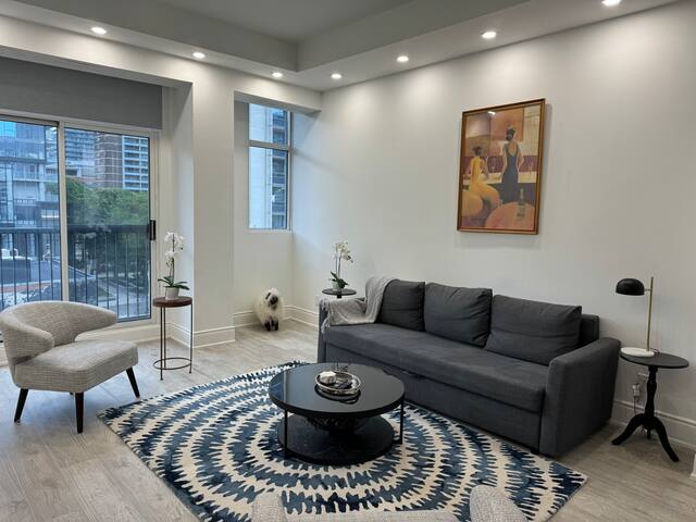 Gorgeous 2BDRM 2BTRM DT suite