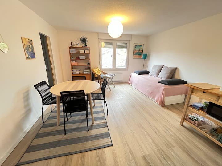 Notre Petit “Chez Nous” à Toulouse - Toulouse
