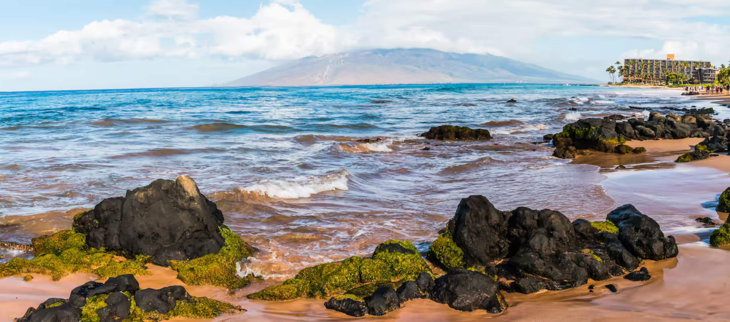 Condo in Kihei · ★4.93 · Studio · 2 beds · 1 bath - Image 43