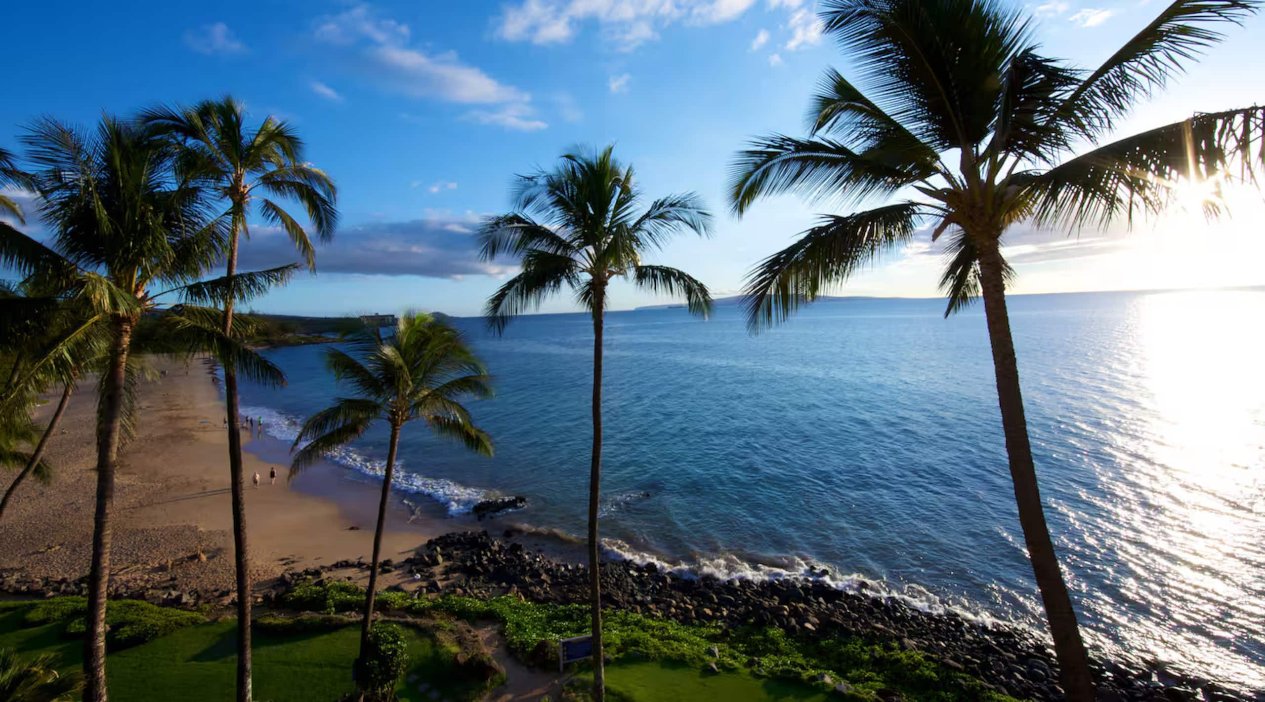 Condo in Kihei · ★4.93 · Studio · 2 beds · 1 bath - Image 44