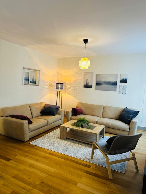 Spacious apartment in the city center 6-8 people