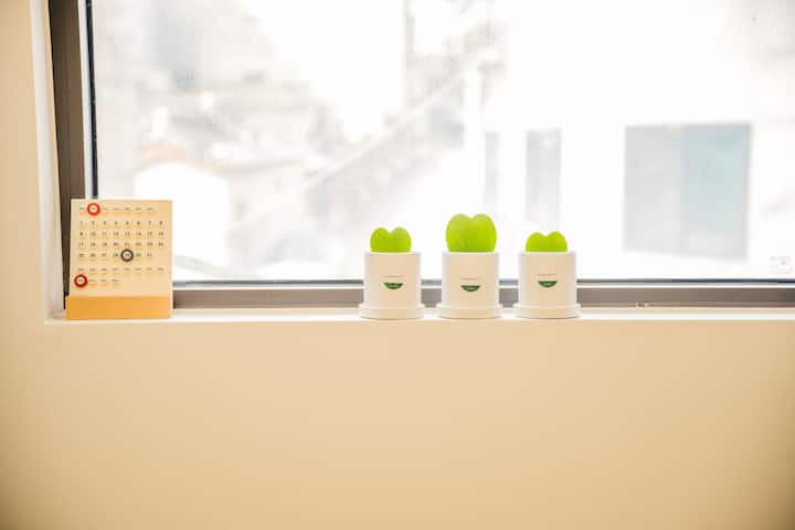 A space that gives a sense of tranquility where the sunlight gently penetrates