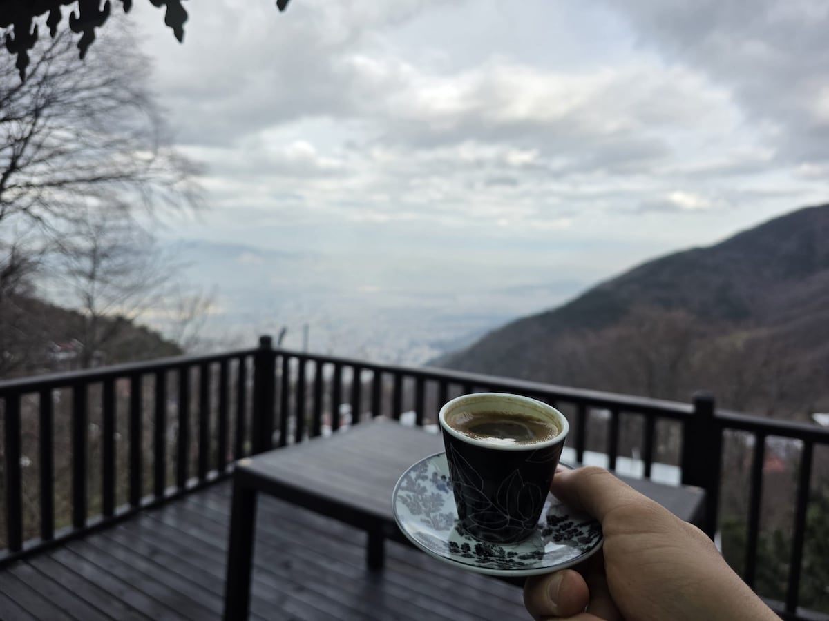 Uludağ ve Bursa manzaralı Lüks Çalıkuşu Dağ Evi