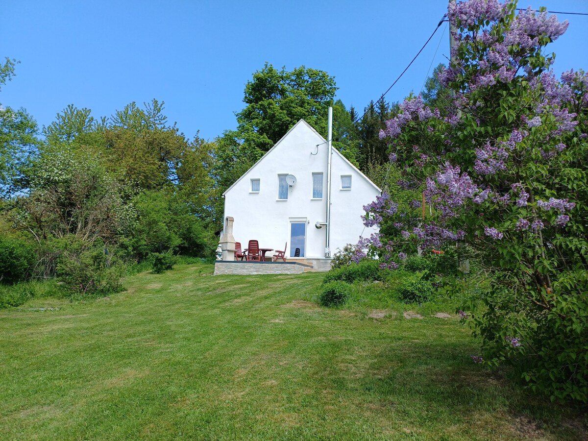 A white house is situated in a spacious green area, surrounded by trees and flowering bushes. A patio with chairs is visible at the front, providing a serene outdoor space. The clear blue sky enhances the tranquil setting of the property.