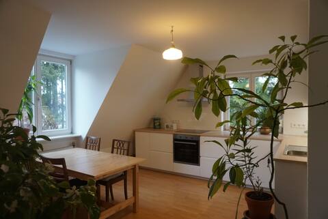 Apartment for up to 4 people in the countryside