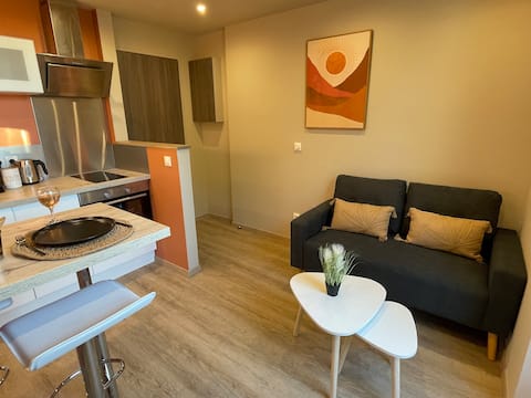 Top Airbnb: The Oasis… Balneotherapy-Terrace Apt. in Troyes