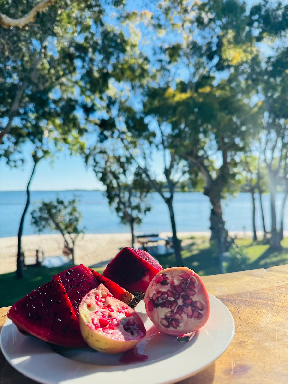 A plate of vibrant fruits sits on a wooden surface, showcasing richly colored slices of dragon fruit and pomegranate. In the background, the serene beach and gently swaying trees are visible under clear blue skies, enhancing the coastal atmosphere.