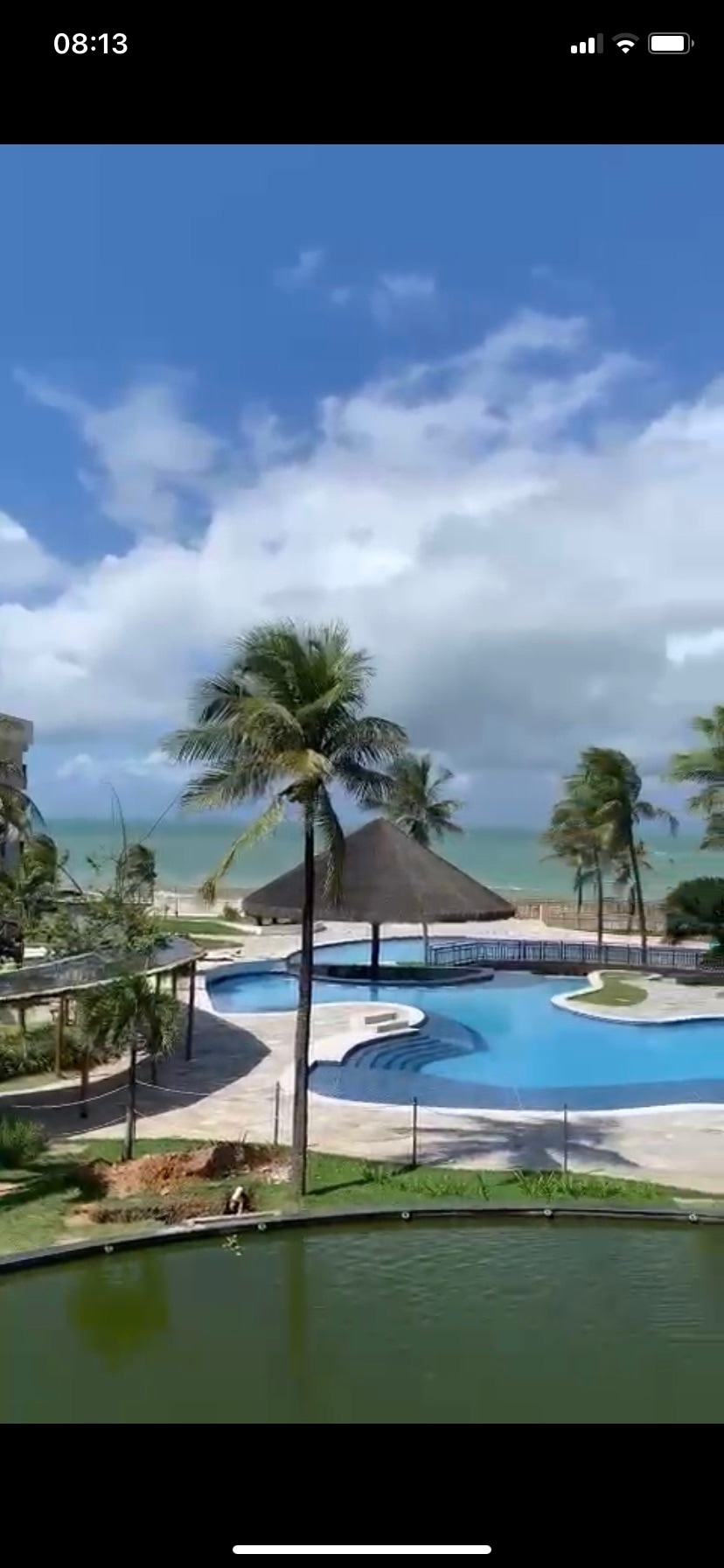 A serene outdoor area features a large swimming pool surrounded by palm trees, with lounge areas and a thatched-roof gazebo nearby. The ocean is visible in the background, complementing the tranquil atmosphere created by the blend of greenery and water.