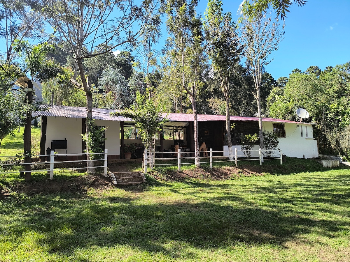 A rustic farmhouse is set on a spacious green lawn, surrounded by tall trees and natural greenery. The building features a covered porch with seating areas, and large windows allowing views of the outdoors. Sunlight brightens the facade, creating a serene and inviting atmosphere.