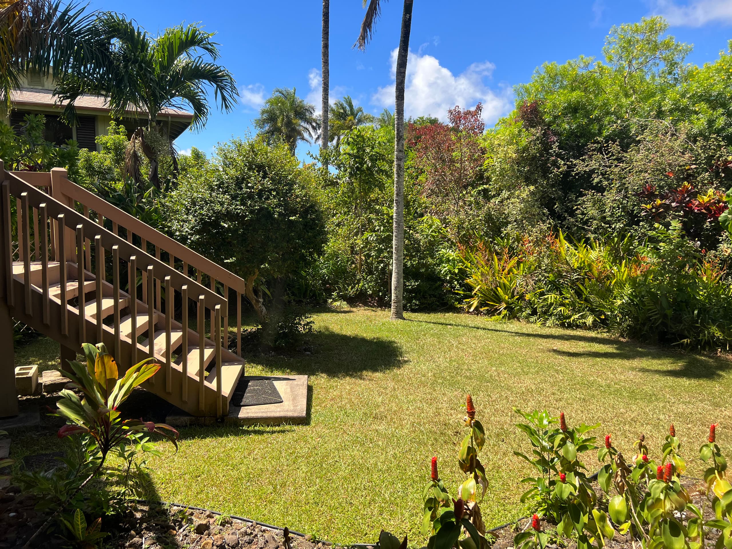 Home in Princeville · ★4.93 · 1 bedroom · 1 bed · 1.5 shared baths - Image 20