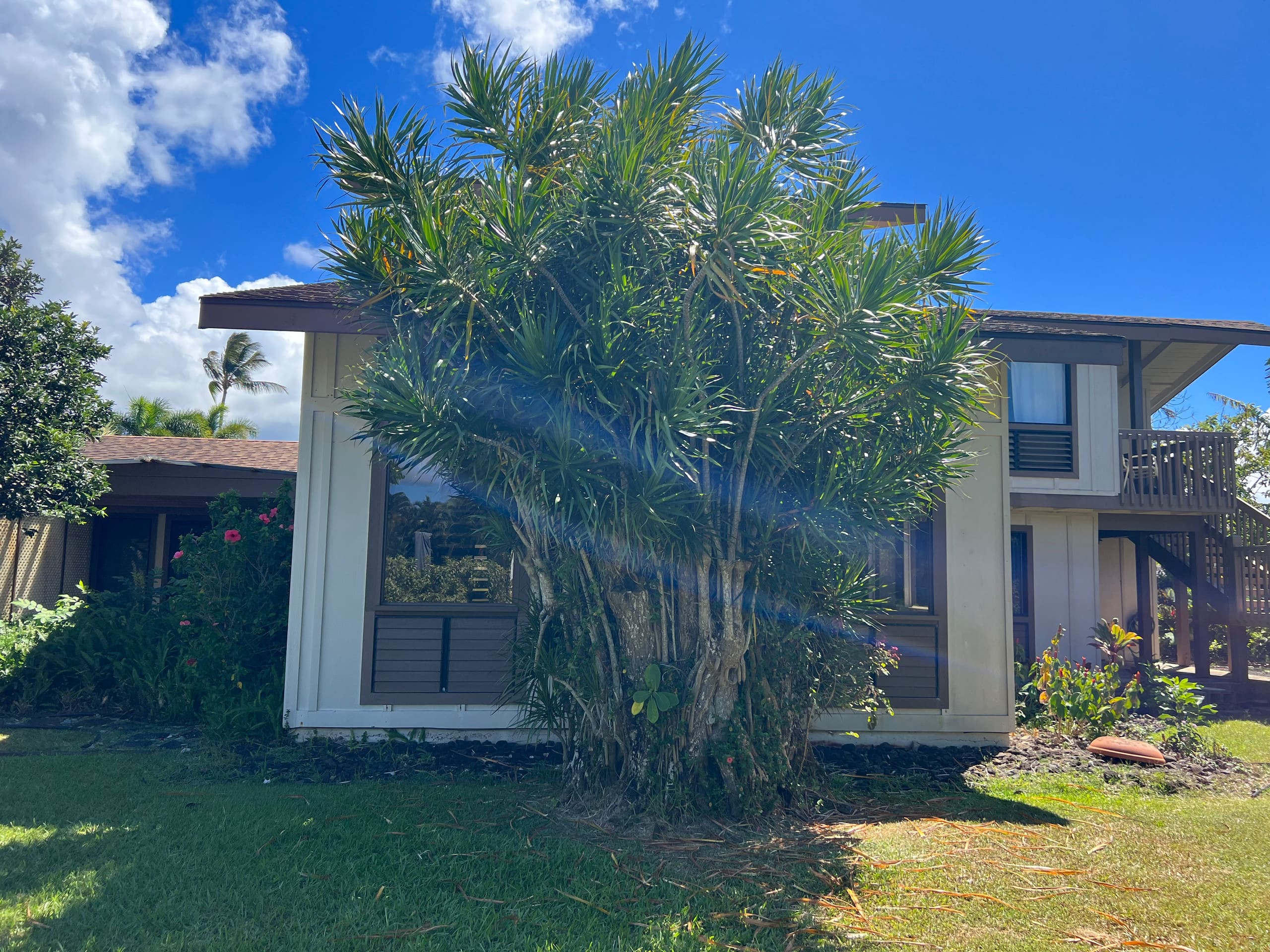Home in Princeville · ★4.93 · 1 bedroom · 1 bed · 1.5 shared baths - Image 22