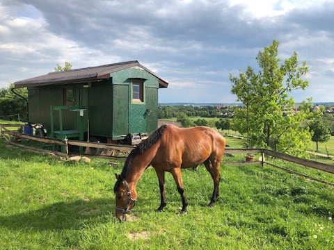 Tiny house nad vinicí