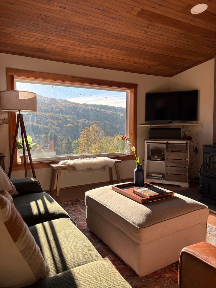 Mountain View Hideaway - Fleischmanns, NY