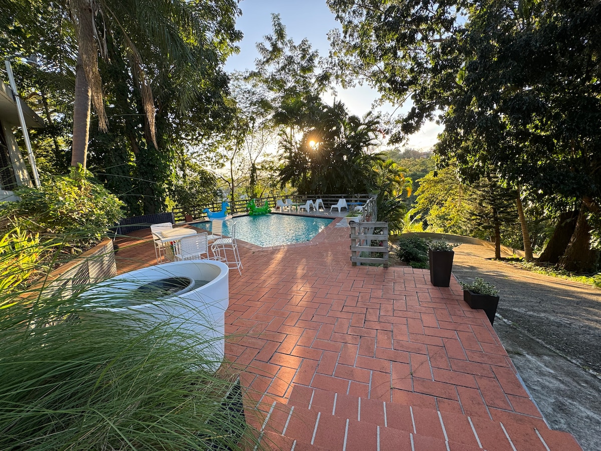 A tranquil outdoor area features a rectangular pool surrounded by terracotta tiles. Lush greenery frames the space, with a few lounge chairs and tables positioned near the water. Sunlight filters through the trees, creating a warm ambiance in this naturally serene environment.
