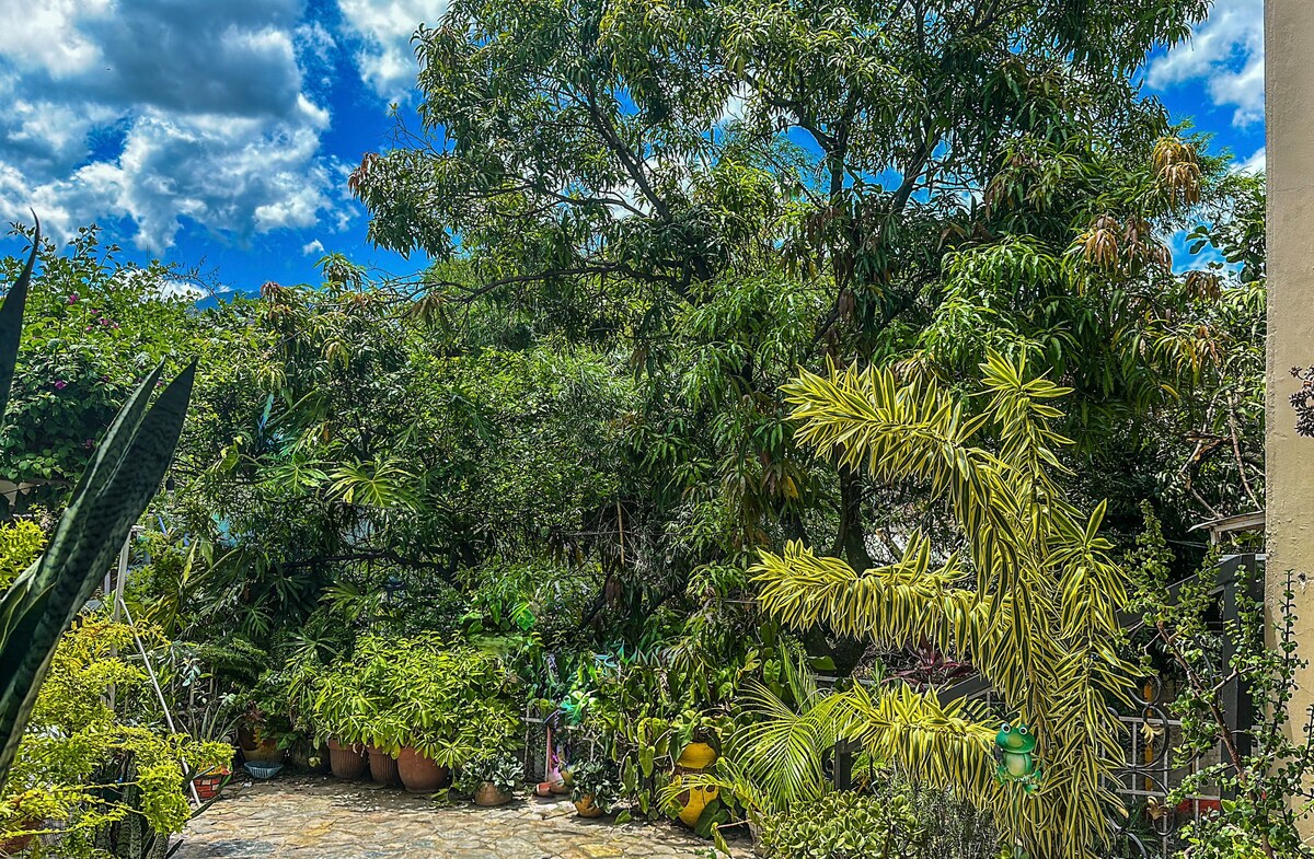 Lush greenery fills the scene, showcasing a variety of trees and plants. Various potted plants are arranged along a stone pathway, with vibrant foliage contributing to a tranquil outdoor environment. A clear blue sky with scattered clouds provides a bright backdrop.