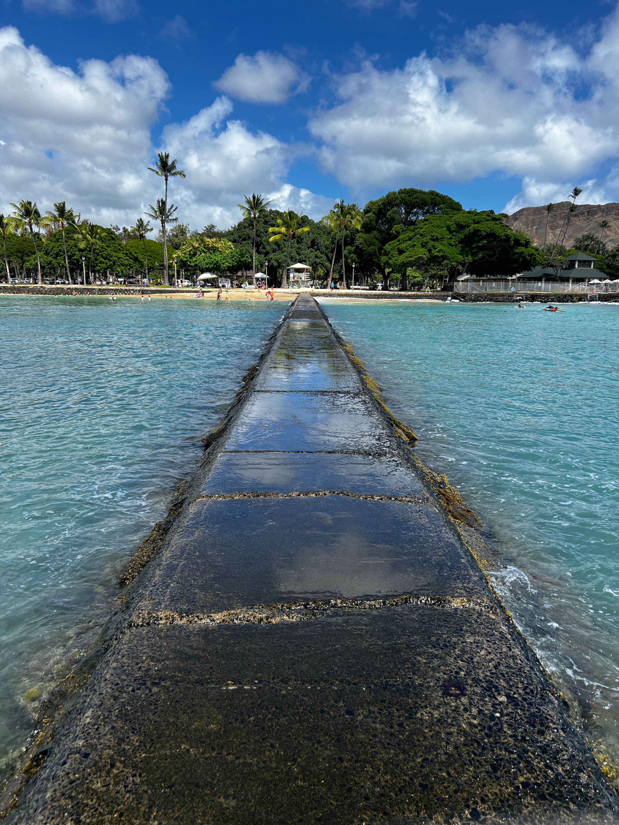 Condo in Honolulu · ★4.82 · Studio · 2 beds · 1 private bath - Image 44