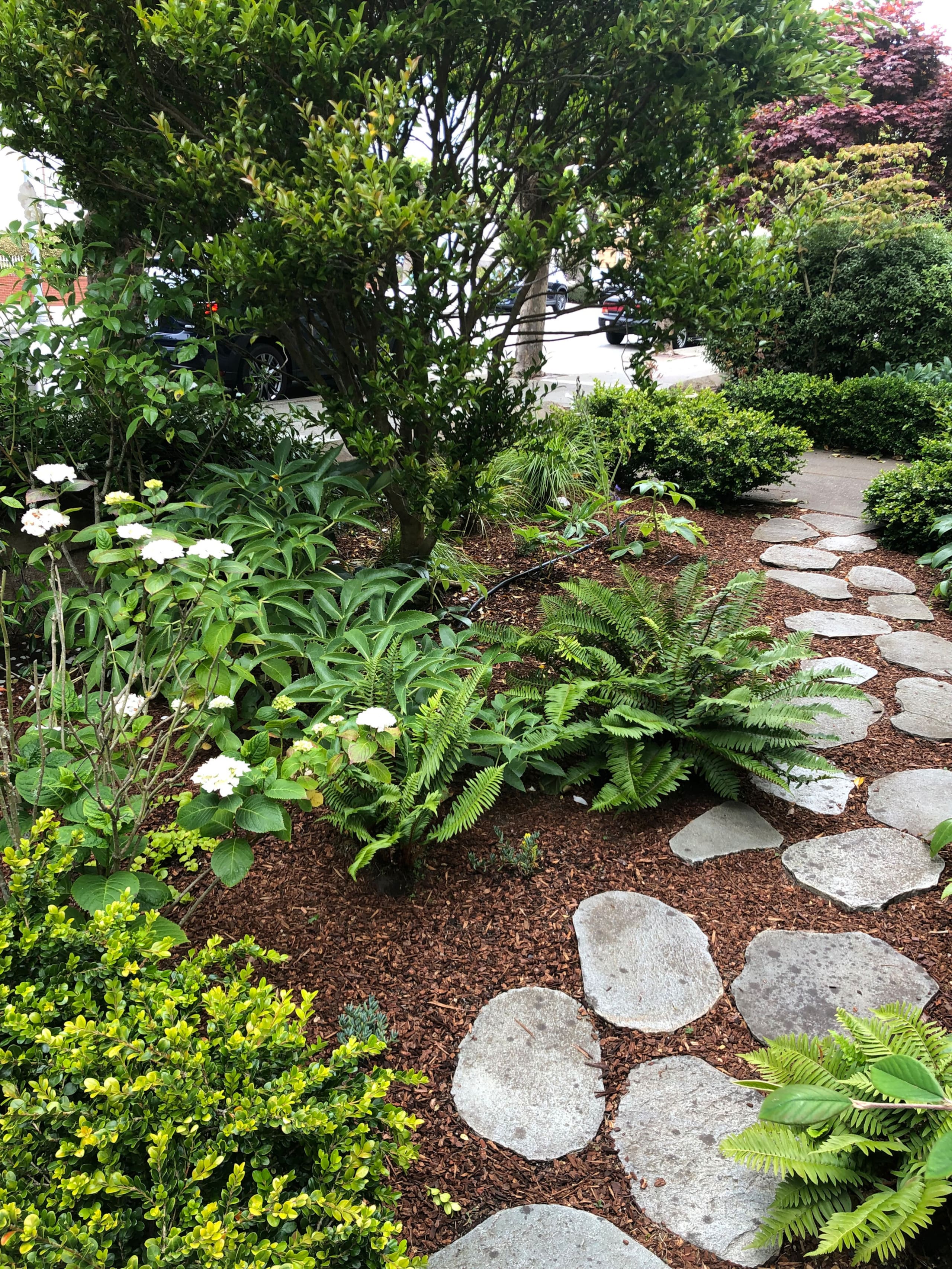 Home in San Francisco · ★4.95 · 4 bedrooms · 5 beds · 2.5 baths - Image 24