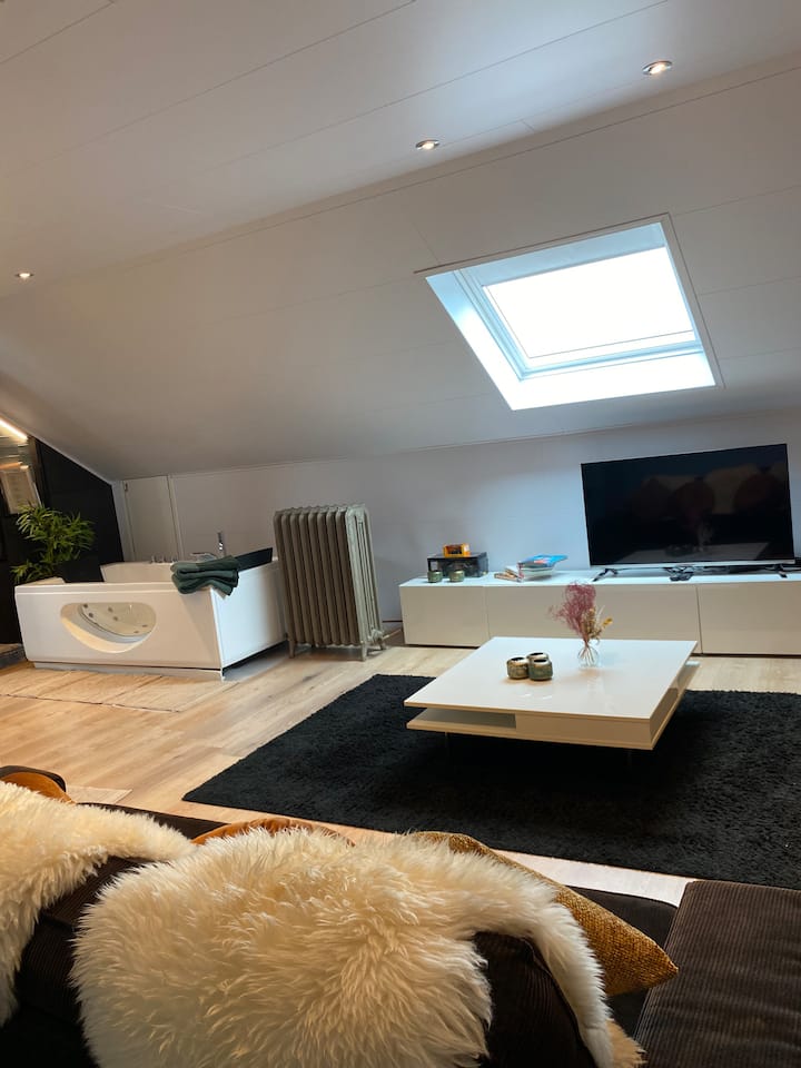 Stijlvolle Ruime Loft Met Een Unieke Uitstraling - Westerlo