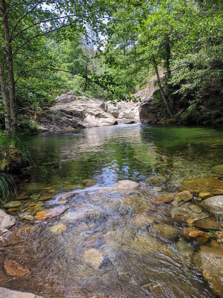 A serene natural pool is surrounded by lush greenery and rocky outcrops. The clear water reflects the surrounding trees, creating a peaceful setting. Smooth stones are visible beneath the water, contributing to the tranquil atmosphere of this outdoor space.