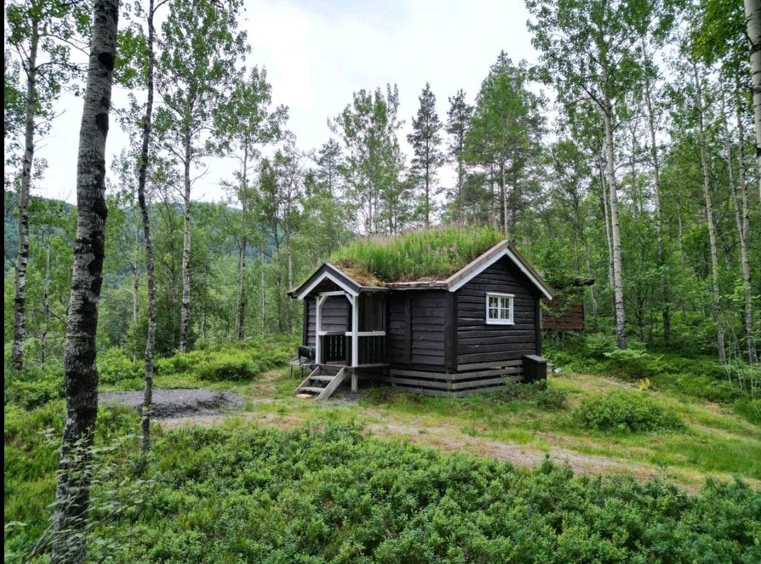 The cabin, featuring a green grass roof, is nestled in a lush landscape surrounded by birch trees. A path leads to the entrance, which is adorned with a small wooden porch. The natural surroundings provide a sense of tranquility and seclusion.