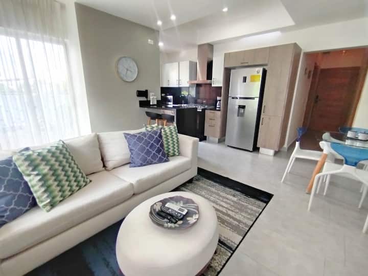 5 Stars Service +Tidy +Well Located In Paintini - Santo Domingo