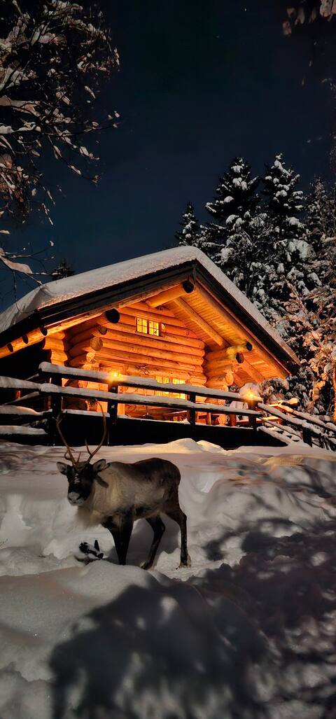 Beautiful log cabin with reindeer on the lake