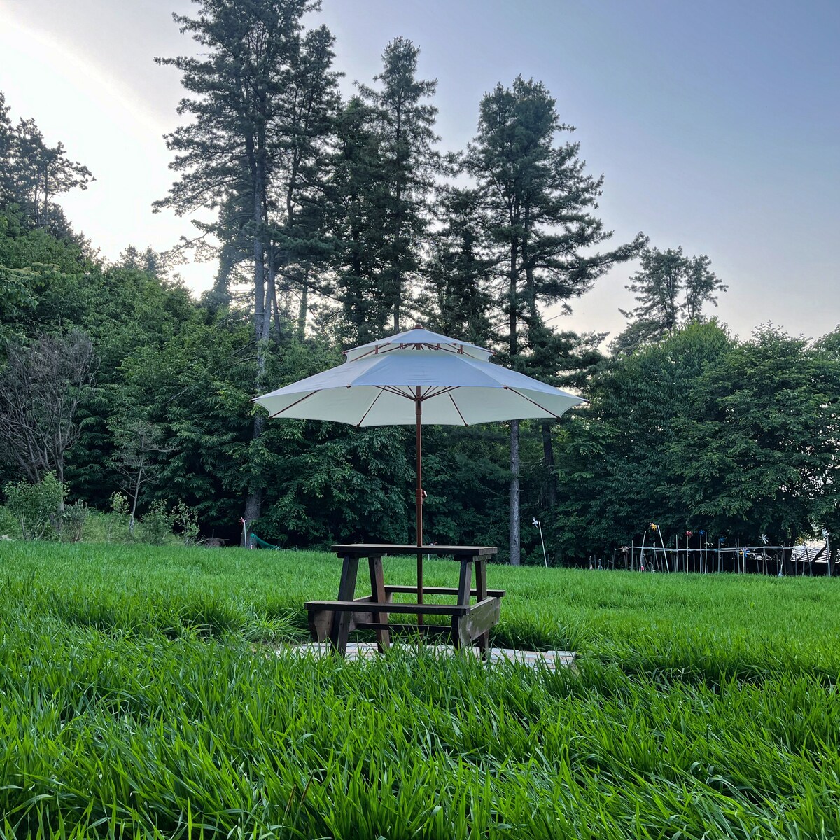 A picnic table with an umbrella is set on a grassy area, surrounded by tall trees. The lush green grass creates a natural backdrop, complementing the serene outdoor setting.