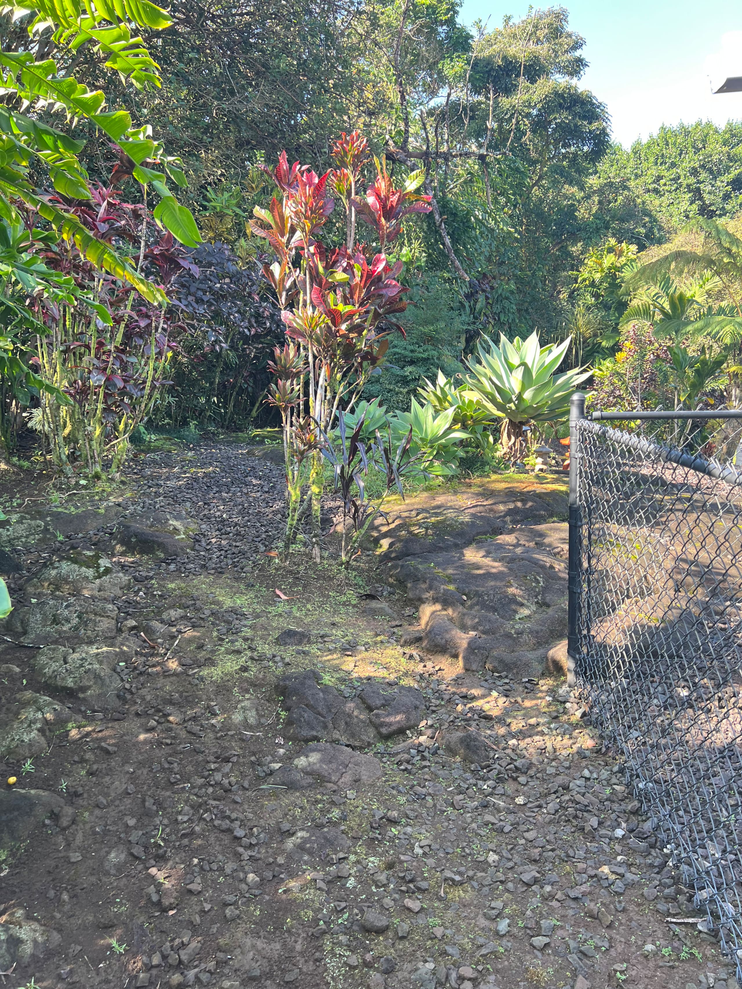 Home in Hilo · ★5.0 · 1 bedroom · 2 beds · 1 private bath - Image 91