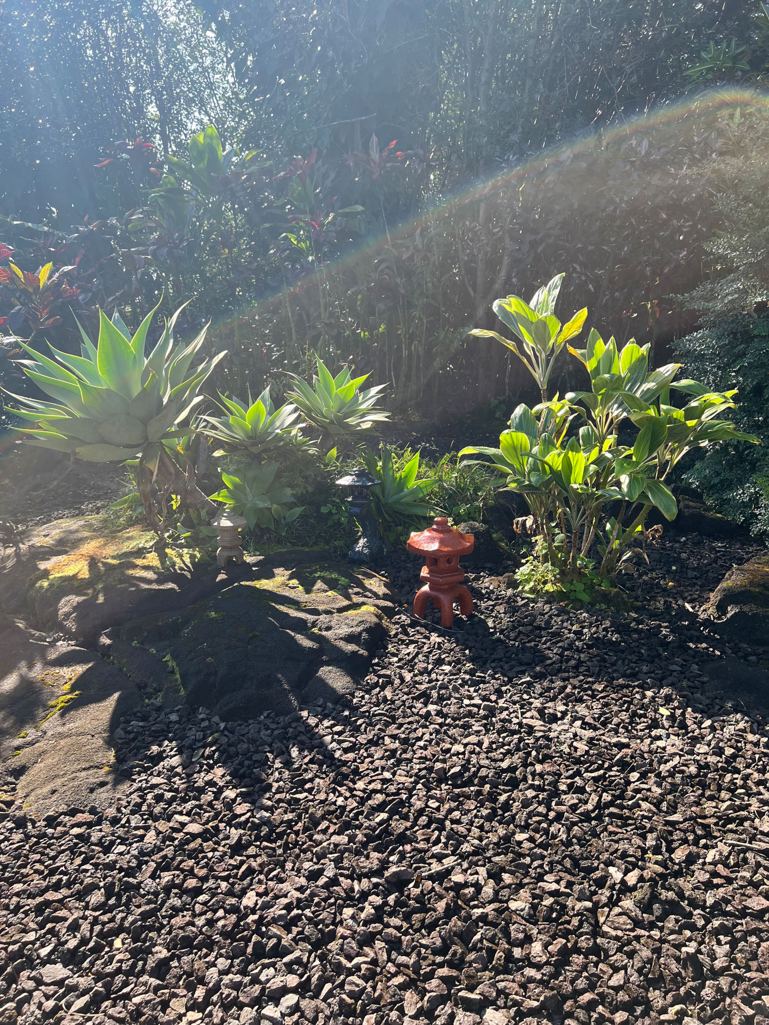 Home in Hilo · ★5.0 · 1 bedroom · 2 beds · 1 private bath - Image 86