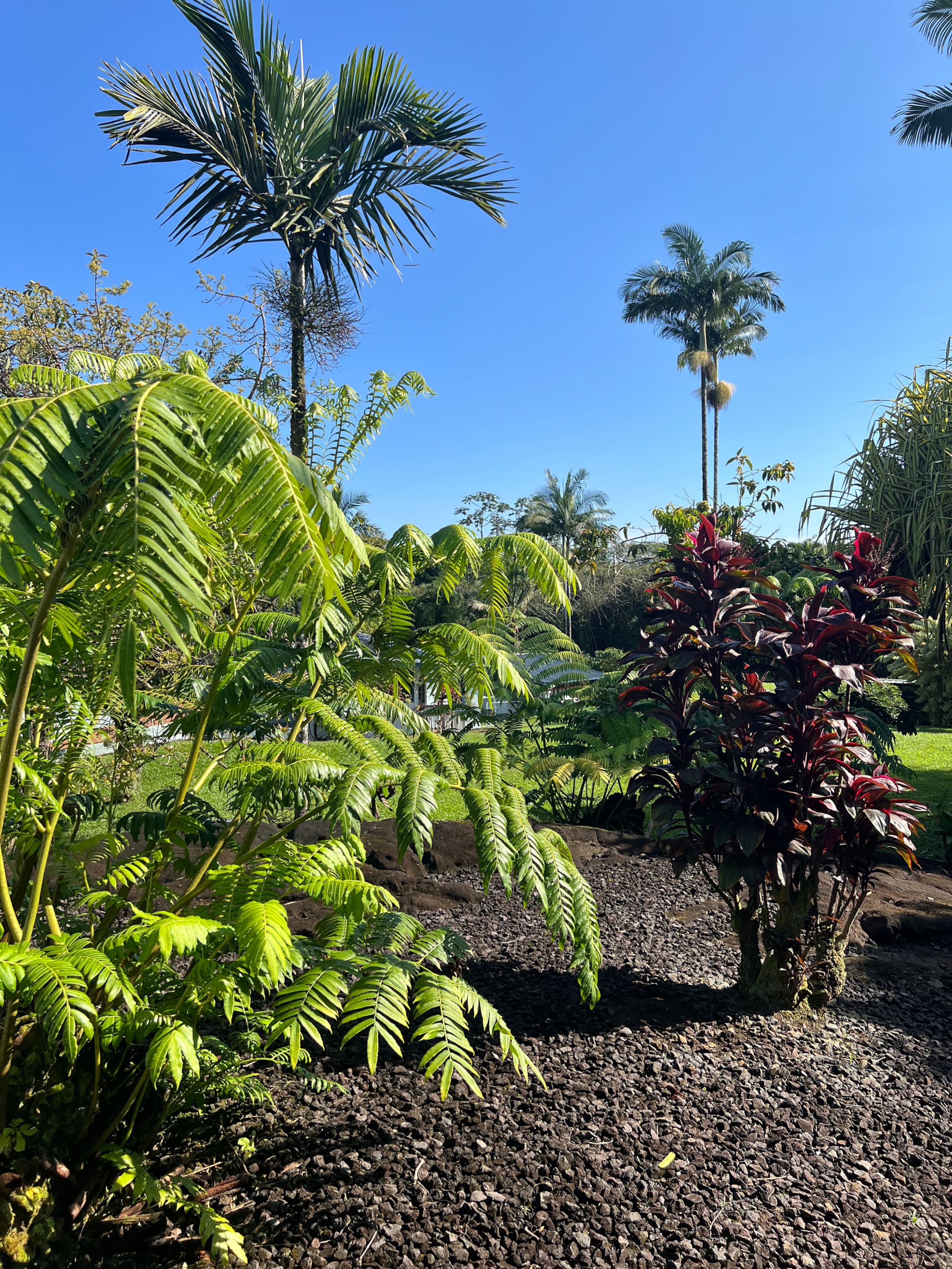 Home in Hilo · ★5.0 · 1 bedroom · 2 beds · 1 private bath - Image 124