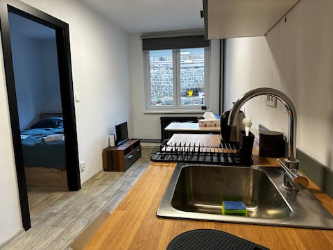 Top Airbnb: Apartment in a residential area of Prague 6 in Břevnov