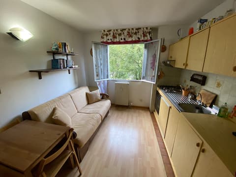 Proprietà Airbnb di successo: Apartment on the slopes for Skiing a Frabosa Sottana