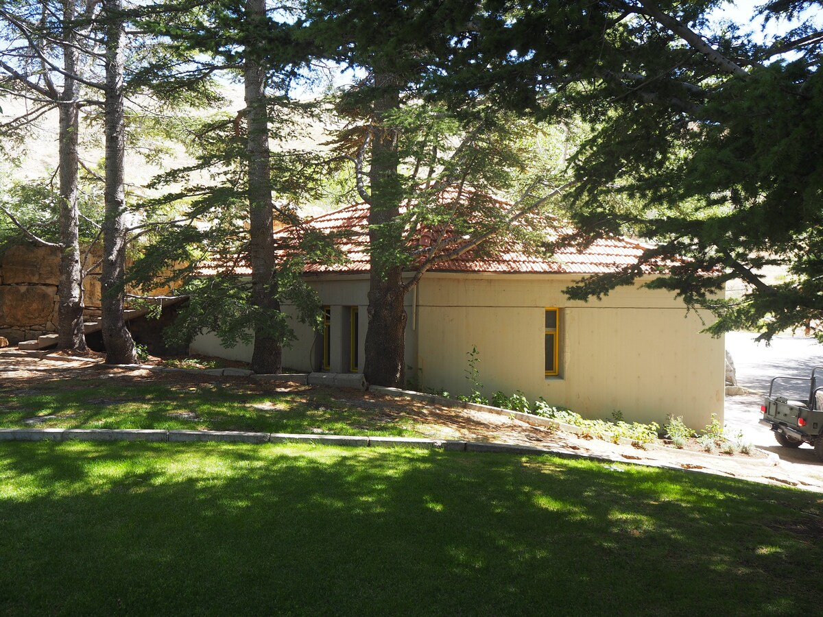 The guesthouse is nestled among tall evergreen trees, showcasing a sloped roof with terracotta tiles. The exterior features light-colored walls with two large windows, framed by lush greenery. A well-maintained lawn surrounds the building, providing a serene natural setting.
