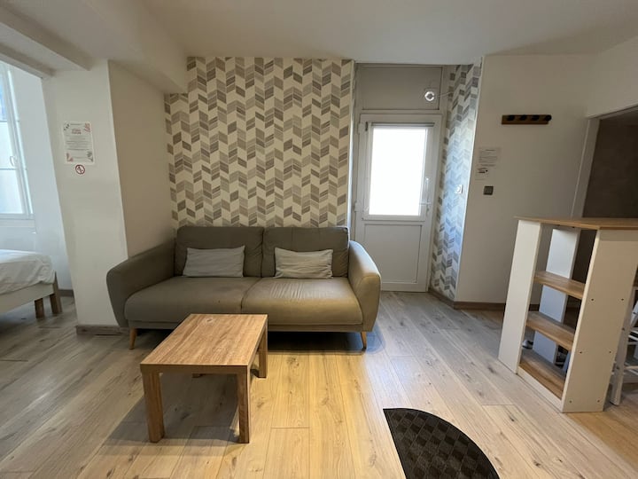Studio Centre-ville" Le Cocon" - Cher