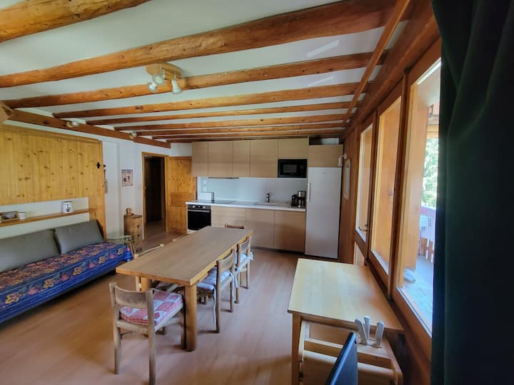 Appartement De 53 M² à 100m Des Pistes - Méribel