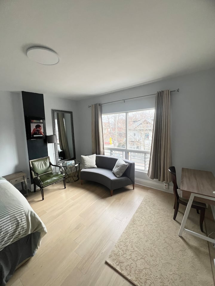 New Bachelor Apartment:  Heart Of Toronto - Annex - Toronto