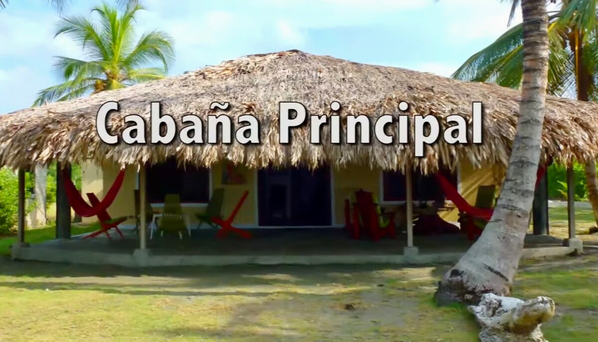 A main cabana is seen with a thatched roof, providing shaded space. Colorful hammocks are suspended in front, and palm trees frame the setting. The entrance features large glass doors that lead into the cabana, blending with the natural surroundings.