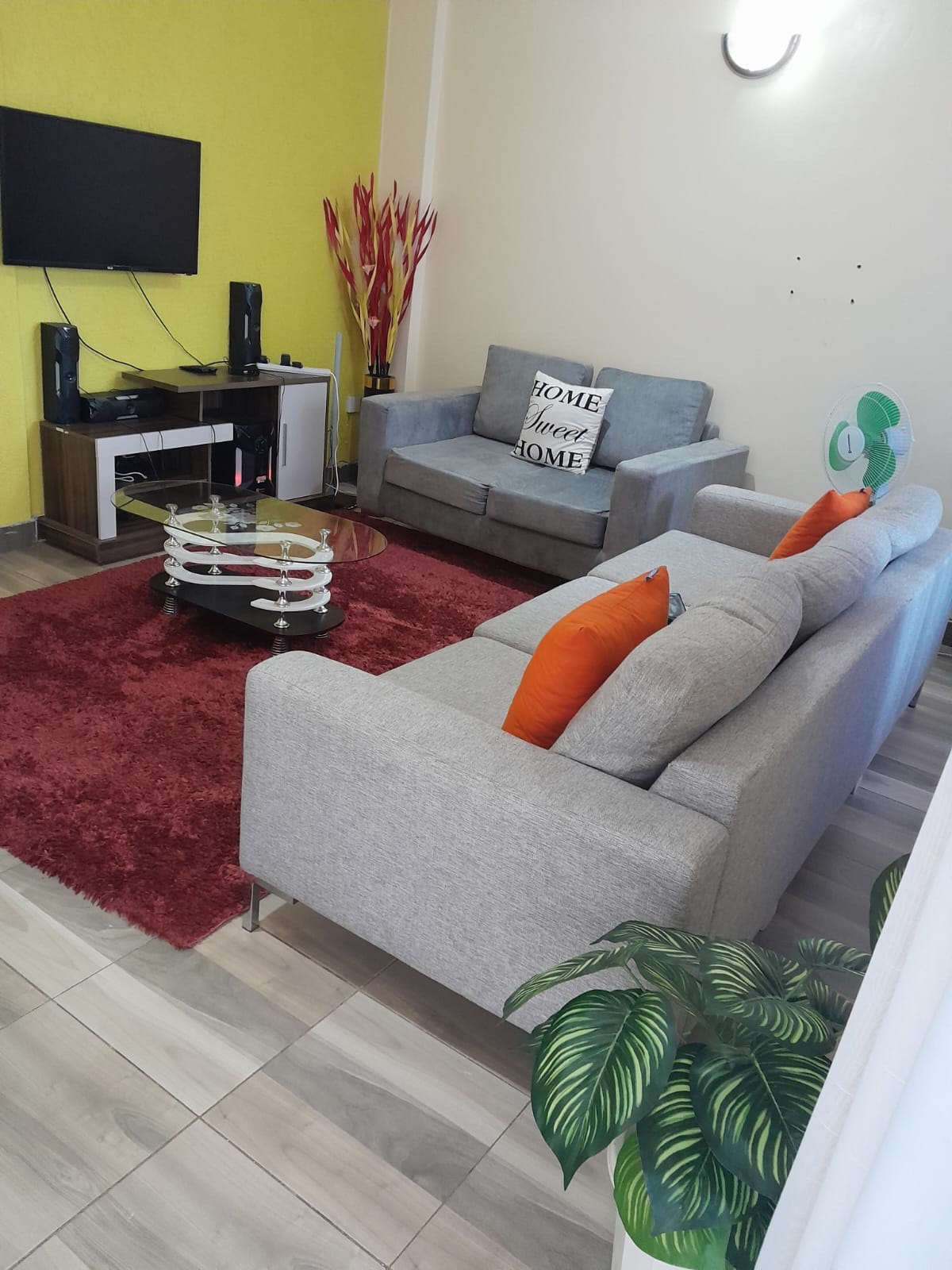 A cozy living area features a gray sofa adorned with orange cushions, accompanied by a matching armchair. A glass coffee table sits on a plush red rug. Decorative plants add a touch of greenery, while a television is mounted on the wall opposite the seating.