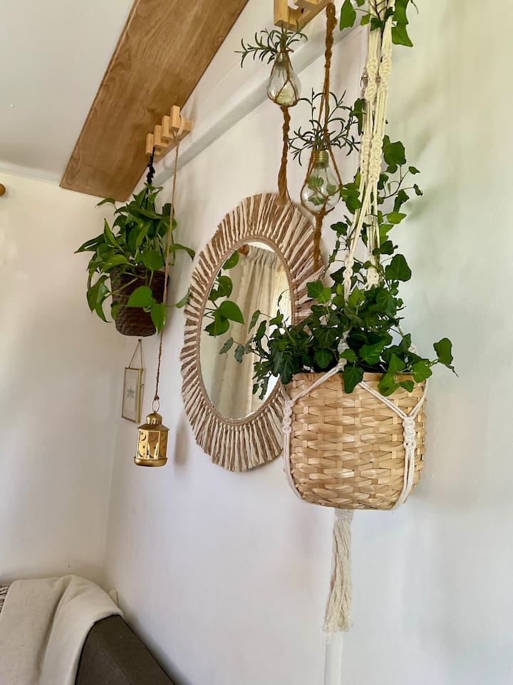 غرفة المعيشة