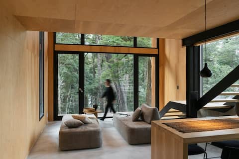 Propiedad de Airbnb exitosa: Casa Gallareta. Costa de Lago. Luxury Cabin N3. en Neuquén