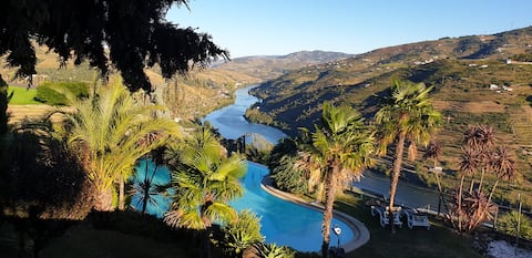 Private House with Pool in Douro