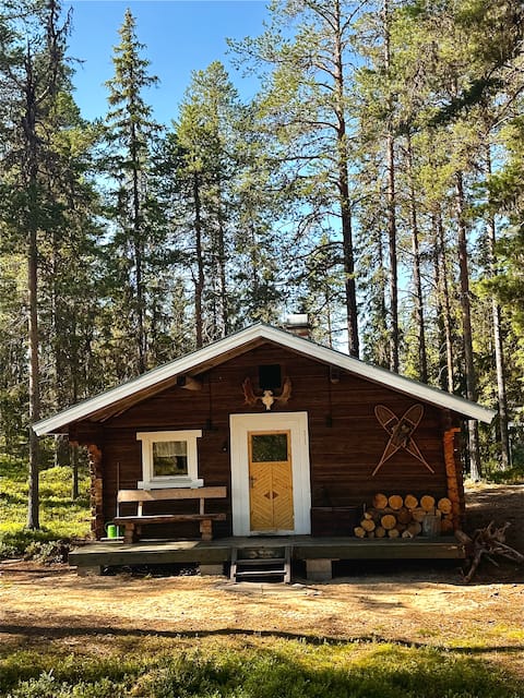 Pine Tree Cabin in Lappland