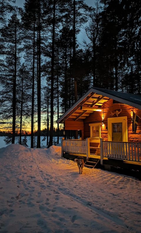 Pine Tree Cabin in Lappland